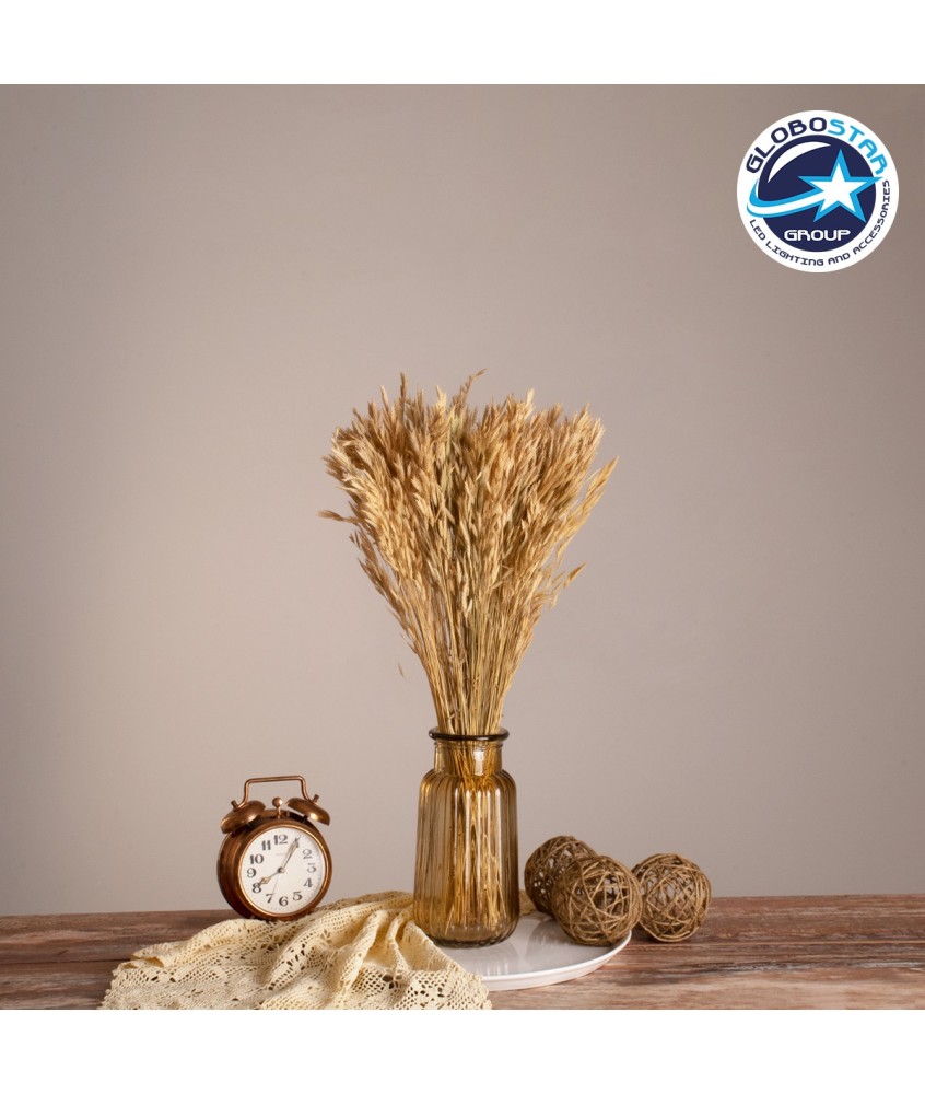 GloboStar® WHEAT 36550 Αποξηραμένο Φυτό Σίτος - Μπουκέτο Διακοσμητικών Κλαδιών Μπεζ Υ60cm - Σετ 100 τμχ